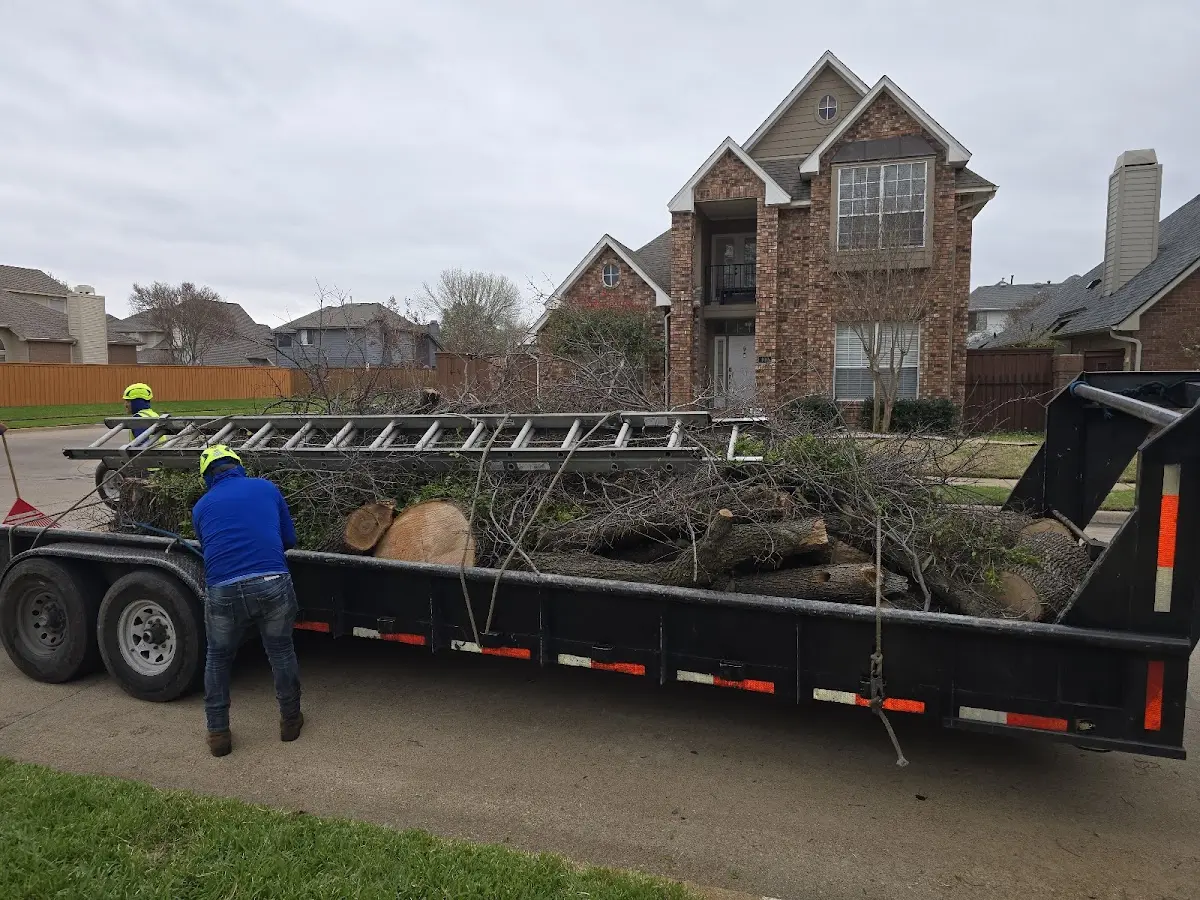 Expert Lot Clearing with proper safety equipment in Moreland